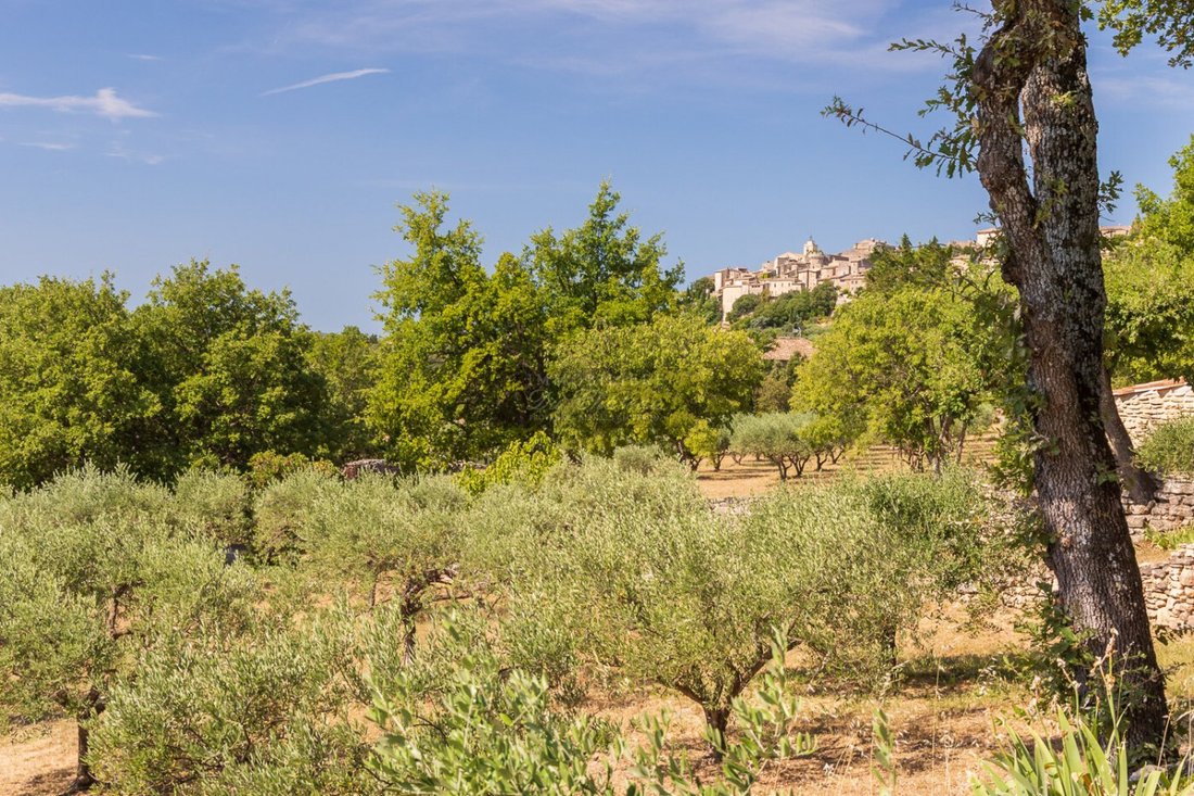 House in Gordes, Provence-Alpes-Côte d'Azur, France 1 - 18439513