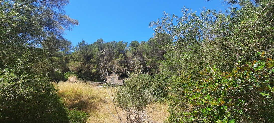 Land in Sant Jordi de ses Salines, Sant Josep de sa Talaia, Balearic Islands 4 - 18441158
