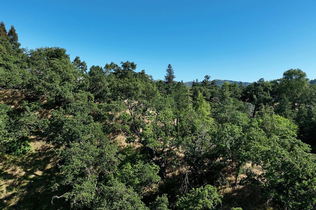 Land in Walnut Creek, California, United States 1 - 18438617