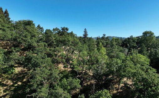 Terreno en Walnut Creek, California, Estados Unidos 1