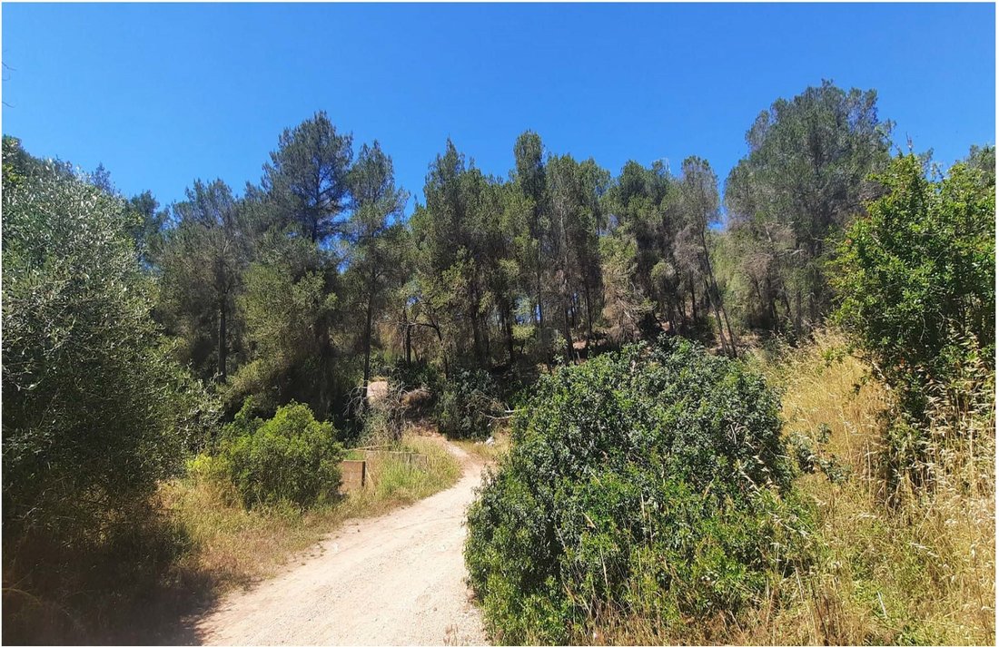 Land in Sant Jordi de ses Salines, Sant Josep de sa Talaia, Balearic Islands 5 - 18441158