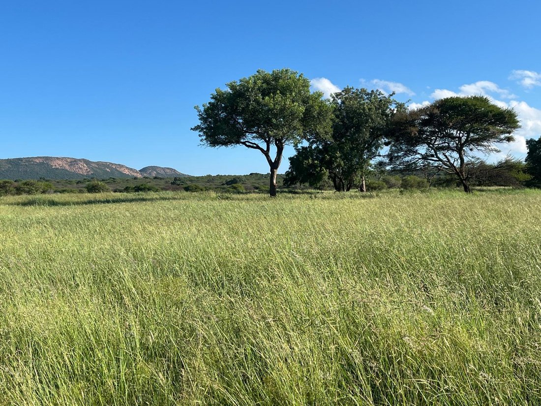 Farm Ranch in Mokopane, Limpopo, South Africa 3 - 18438378