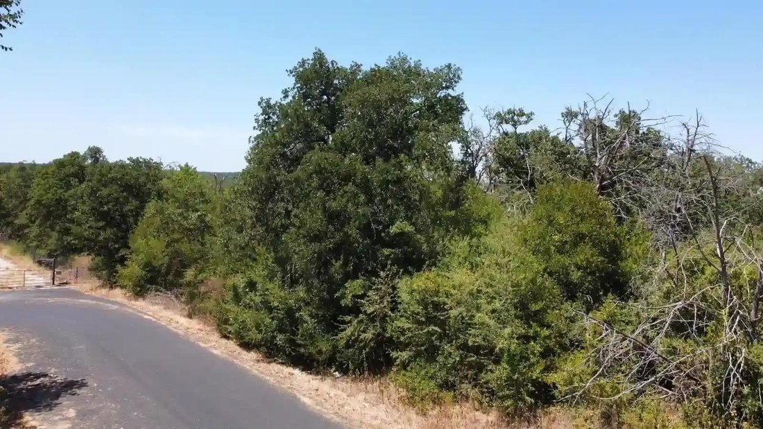 House in Coupland, Texas, United States 5 - 18437003