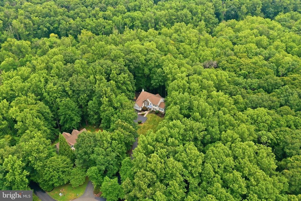 House in Manassas, Virginia, United States 3 - 18442682