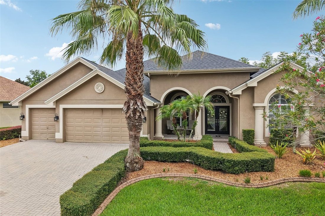 House in Land O' Lakes, Florida, United States 1 - 18440464