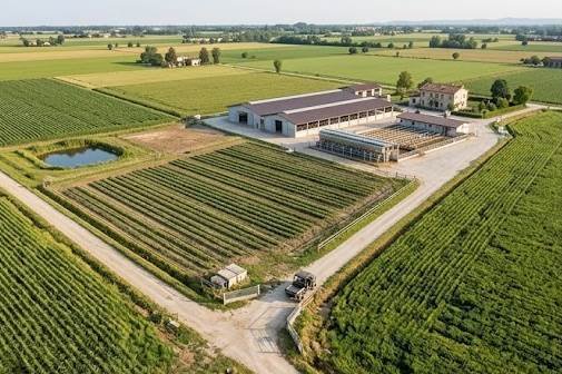 Farm Ranch in Center, Suzzara, Lombardy 4 - 18440300