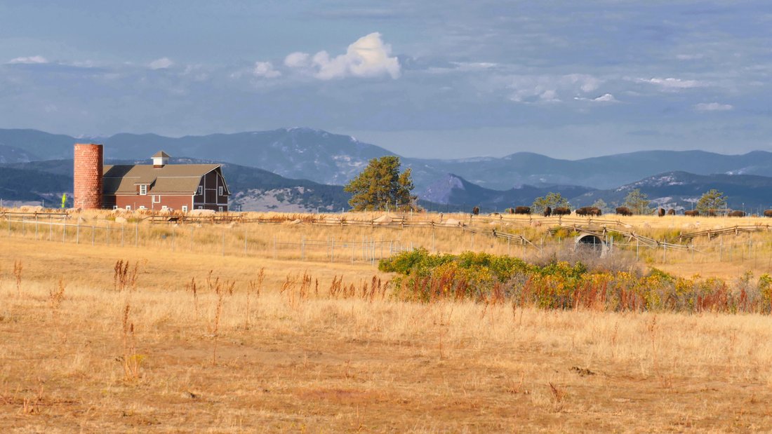 House in Castle Rock, Colorado, United States 3 - 18438720