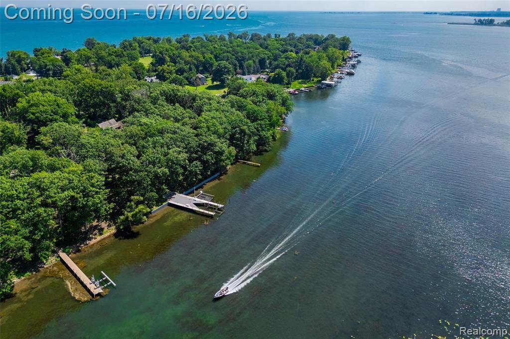 House in Gibraltar, Michigan, United States 5 - 18442298