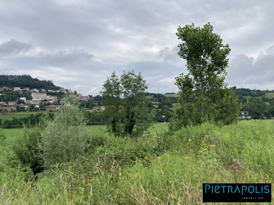 Land in Saint-Genest-Lerpt, Auvergne-Rhône-Alpes, France 4 - 17868876