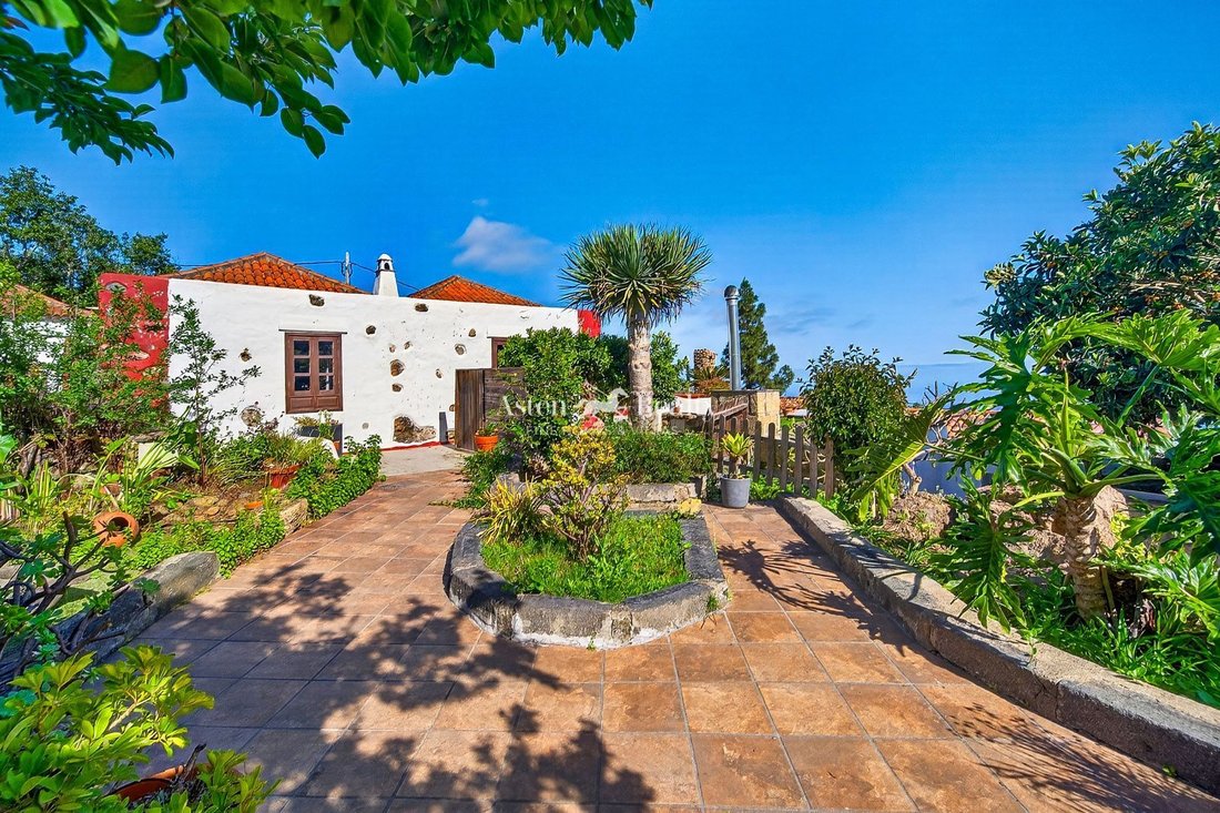 Finca in Icod de los Vinos, Canary Islands, Spain 1 - 18003896