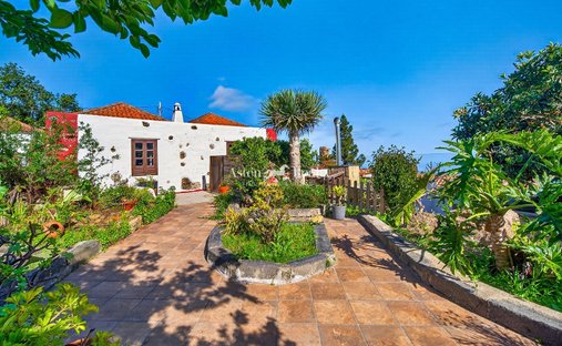 Finca in Icod de los Vinos, Canary Islands, Spain 1