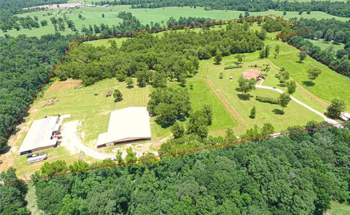 Azienda agricola a Shepherd, Texas, Stati Uniti 1