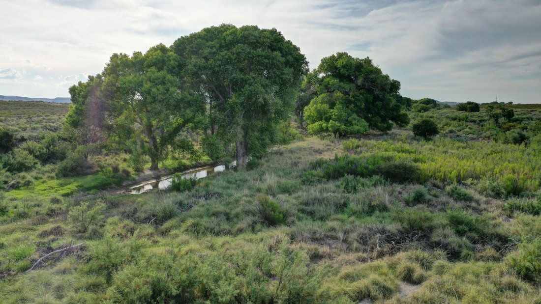 Farm Ranch in Marfa, Texas, United States 1 - 15770118