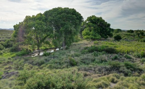 Corps de ferme à Marfa, Texas, États-Unis 1