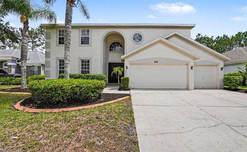 House in Land O' Lakes, Florida, United States 1