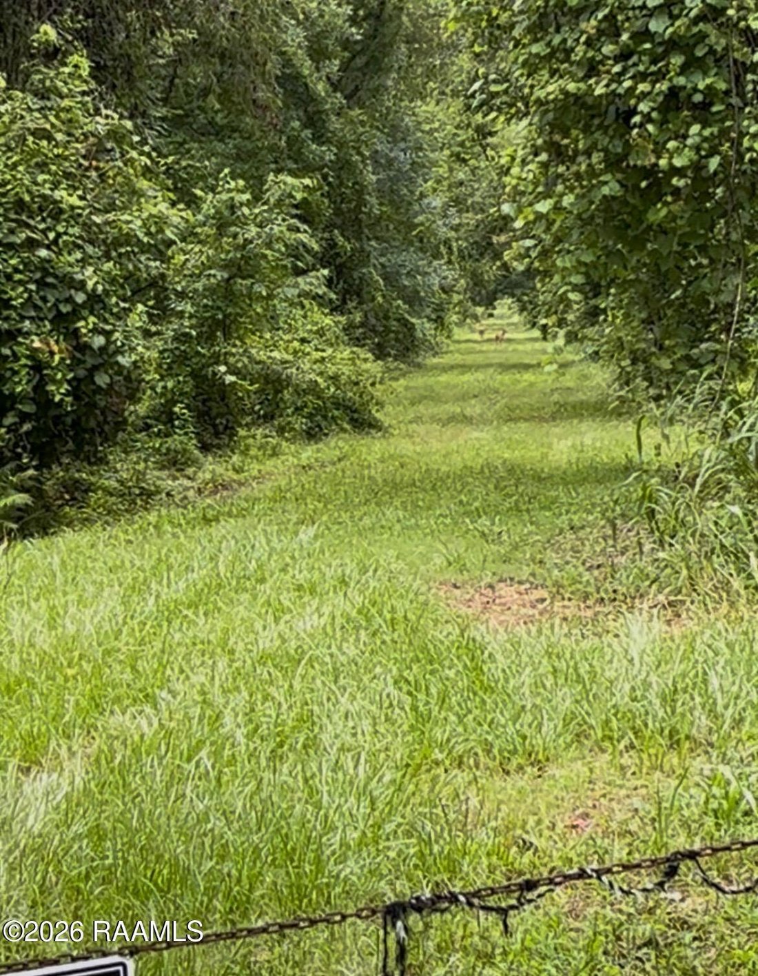 Land in Breaux Bridge, Louisiana, United States 5 - 17674308