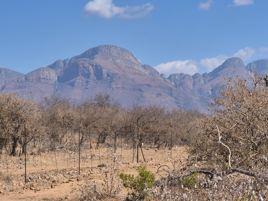 House in Maruleng Local Municipality, Limpopo, South Africa 5 - 18441065