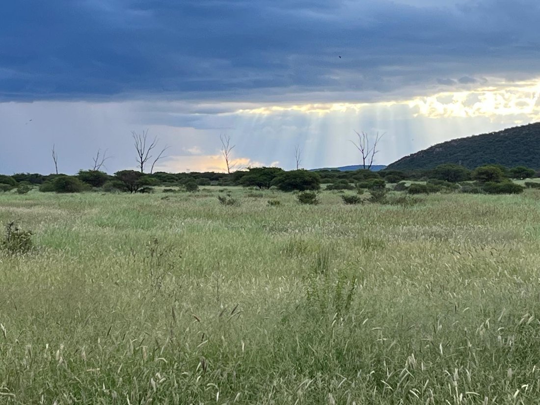 Farm Ranch in Mokopane, Limpopo, South Africa 1 - 18438378