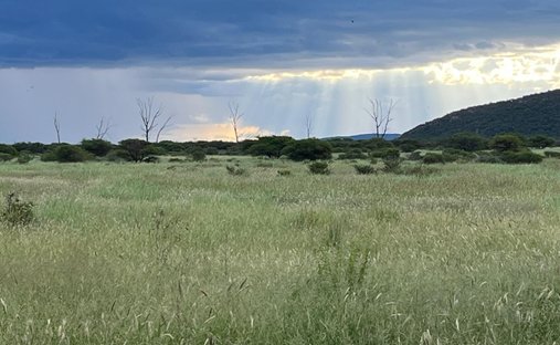 Farm Ranch in Mokopane, Limpopo, Südafrika 1