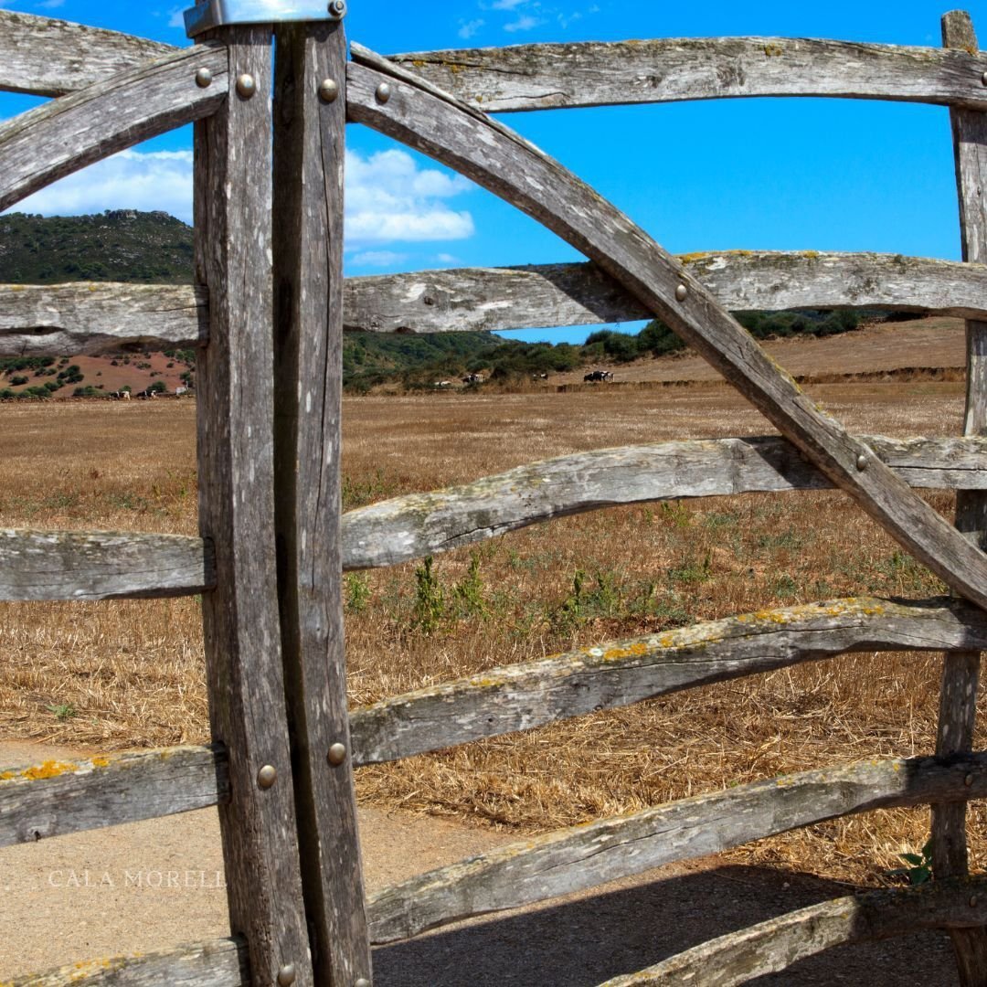 Finca in es Mercadal, Balearic Islands, Spain 1 - 18439265