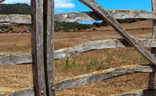 Finca a Es Mercadal, Isole Baleari, Spagna 1