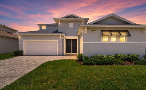 House in Wesley Chapel, Florida, United States 1