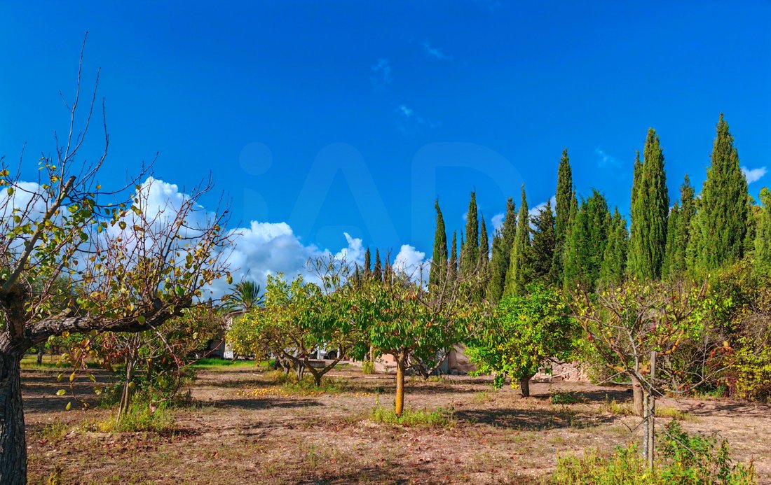 Chalet a Palma di Maiorca, Isole Baleari, Spagna 5 - 18299163