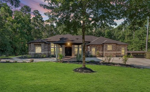 Casa en Porter, Texas, Estados Unidos 1