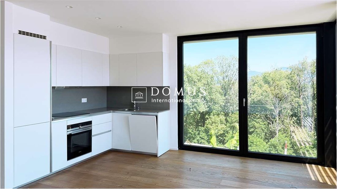 Apartment in Pura, Ticino, Switzerland 3 - 18440043