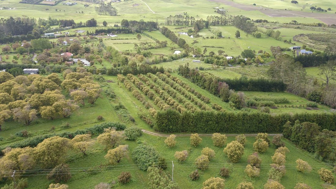 Farm Ranch in Mangawhai, Northland, New Zealand 5 - 16726672