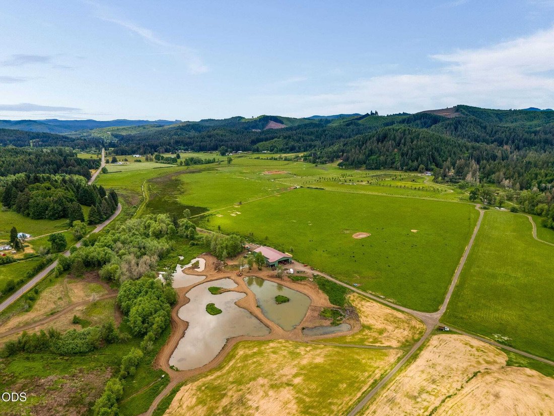 House in Veneta, Oregon, United States 5 - 18439853