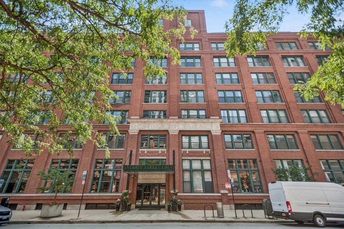 Condo in Chicago, Illinois, United States 1 - 18437359