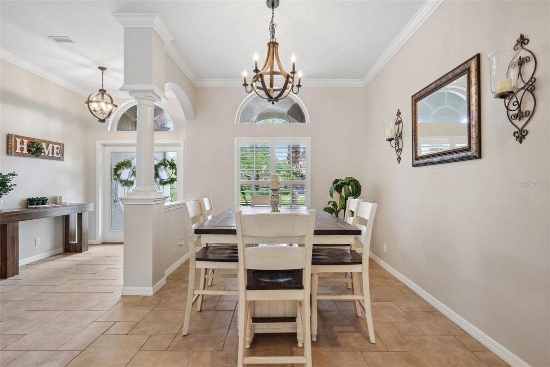 House in Land O' Lakes, Florida, United States 5 - 18440464