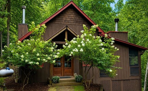 House in Cherry Log, Georgia, United States 1