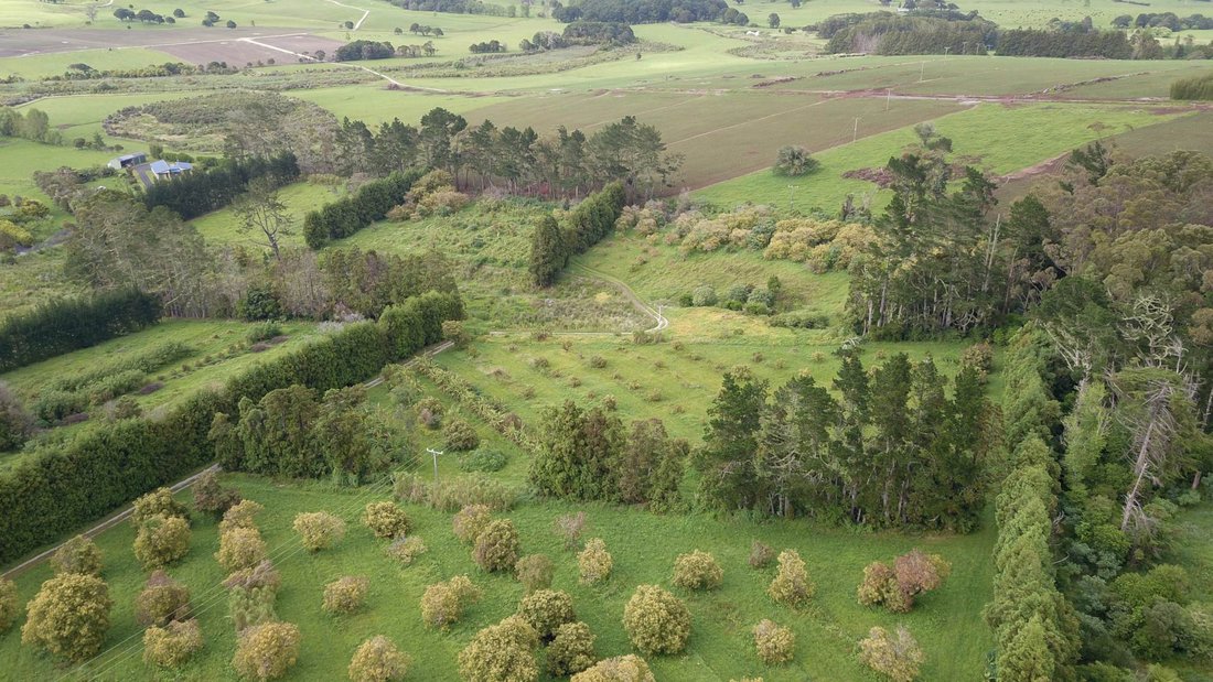 Farm Ranch in Mangawhai, Northland, New Zealand 4 - 16726672