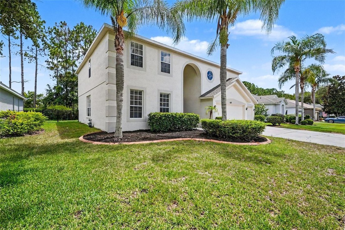 House in Land O' Lakes, Florida, United States 3 - 18439505