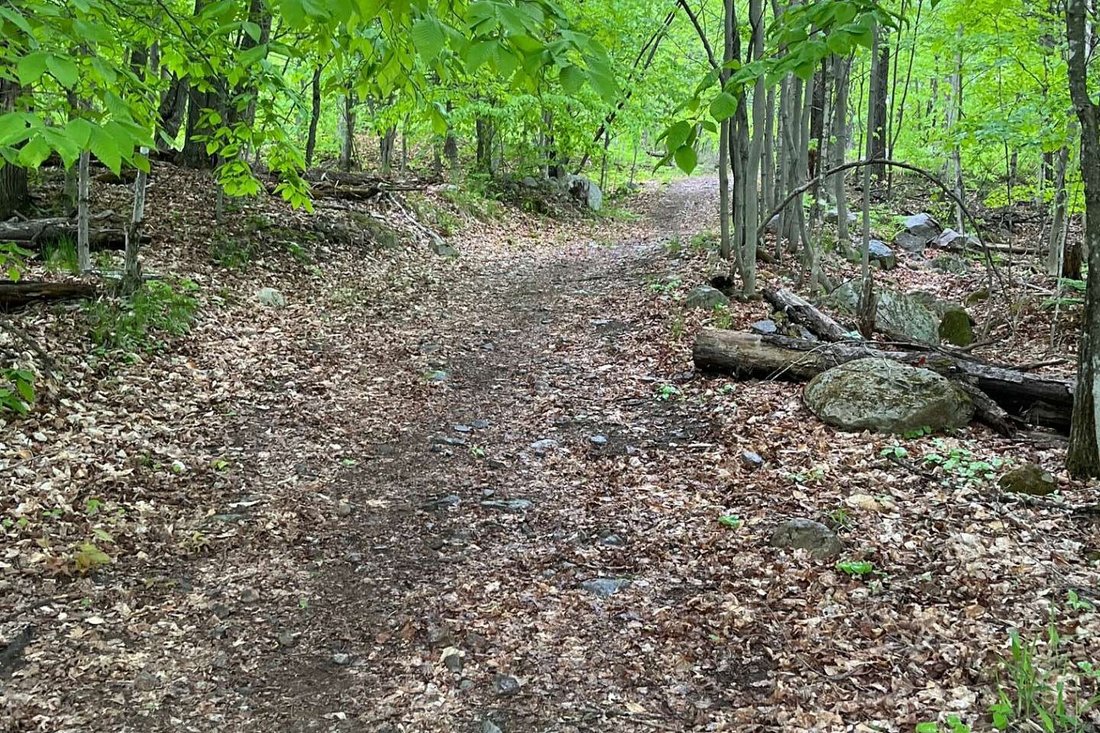 Land in Mont-Tremblant, Quebec, Canada 5 - 15306859