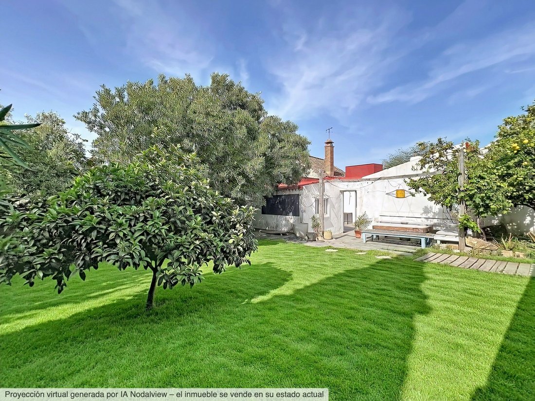 Country House in Tarifa, Andalusia, Spain 4 - 17728778