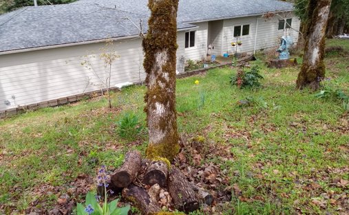 Haus in Dallas, Oregon, Vereinigte Staaten 1