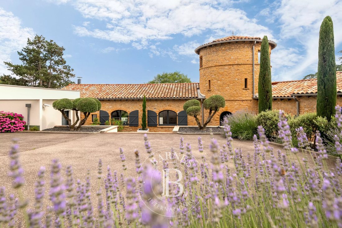 Domaine à Limonest, Auvergne-Rhône-Alpes, France 1 - 18441073