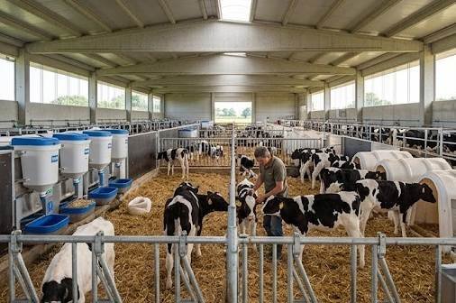 Farm Ranch in Center, Suzzara, Lombardy 3 - 18440300
