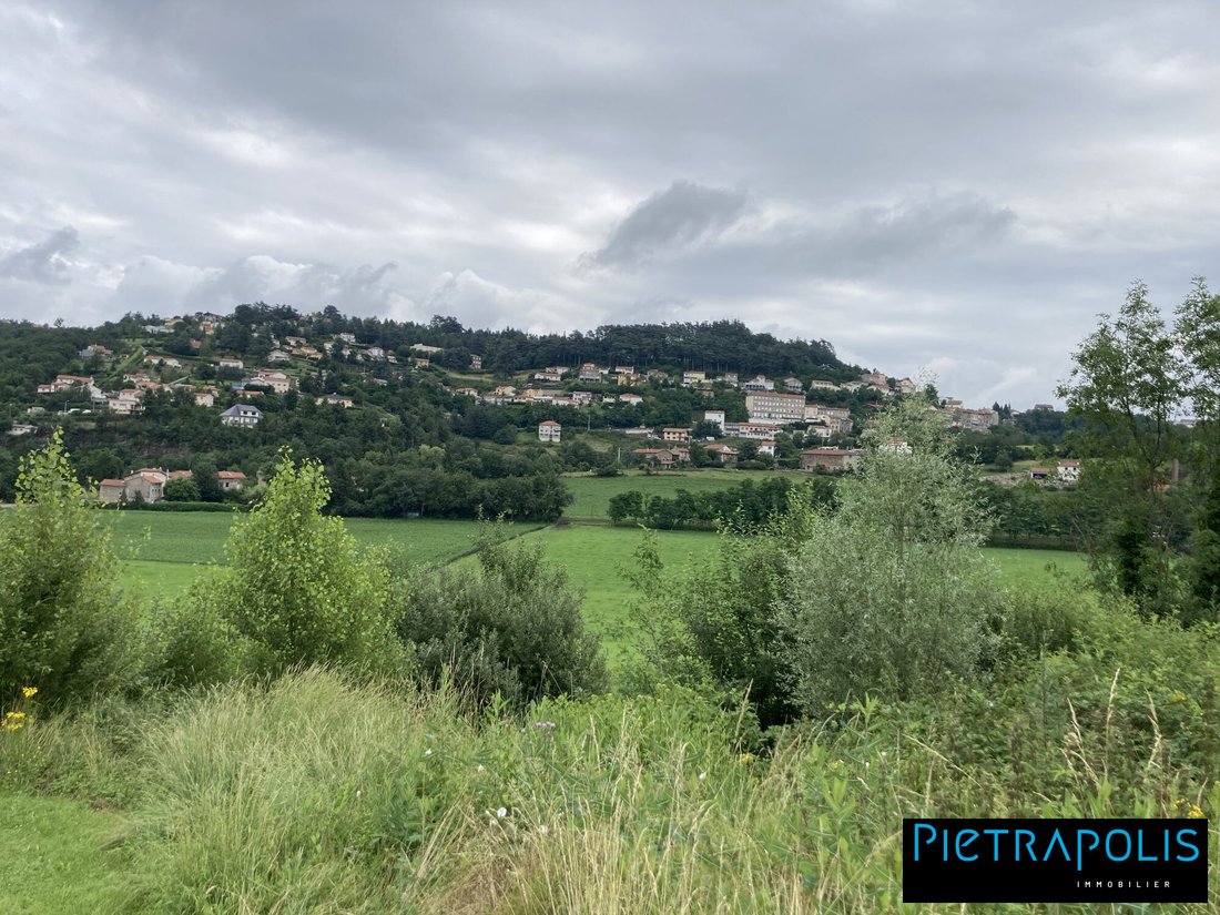 Land in Saint-Genest-Lerpt, Auvergne-Rhône-Alpes, France 2 - 17868876