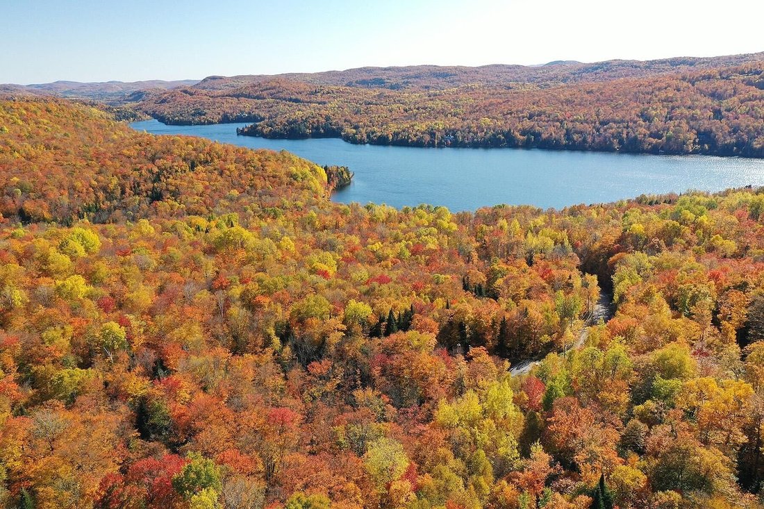 Land in Mont-Tremblant, Quebec, Canada 3 - 15306859