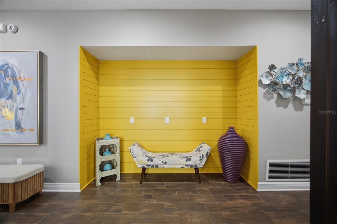 House in Tampa, Florida, United States 5 - 18442283