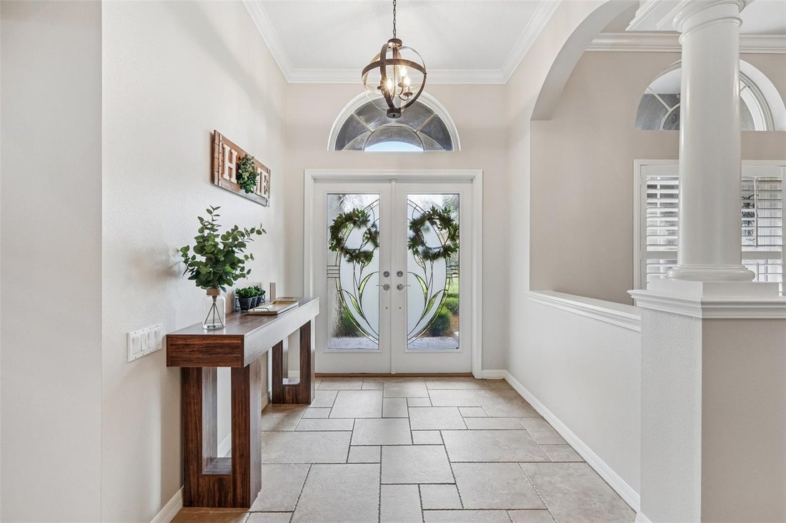 House in Land O' Lakes, Florida, United States 3 - 18440464