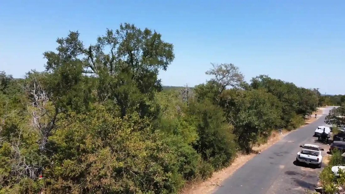 House in Coupland, Texas, United States 3 - 18437003
