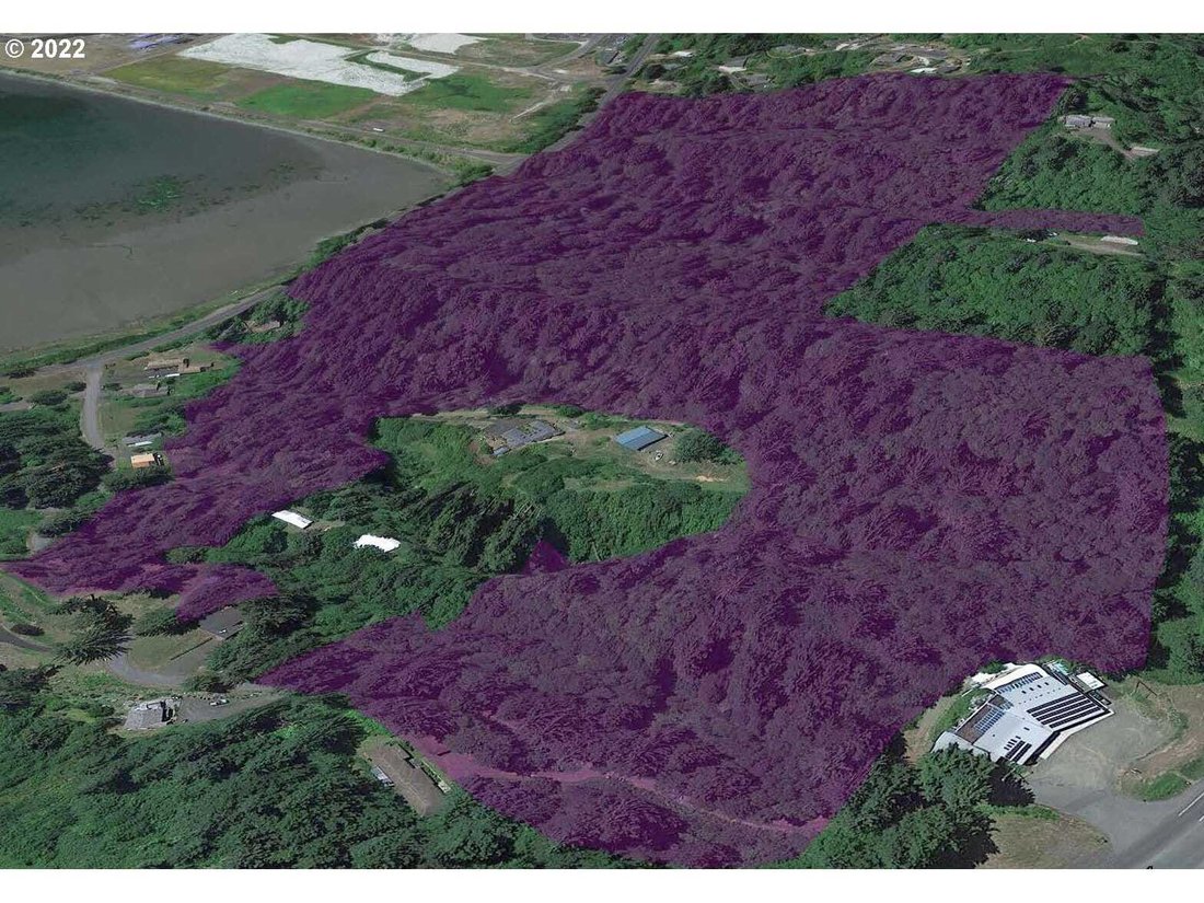 Land in Newport, Oregon, United States 1 - 18439575