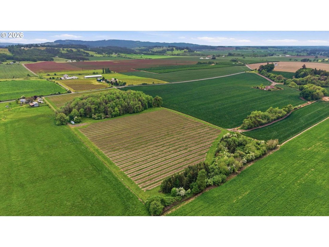 Land in Carlton, Oregon, United States 5 - 18439805