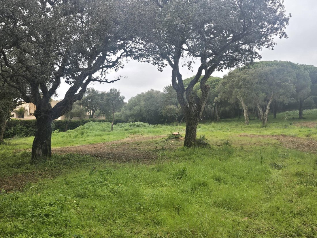 Terreno en Sotogrande, San Roque, Andalucía 3 - 18442759
