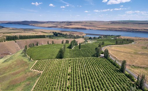 Land in Goodnoe Hills, Washington, Vereinigte Staaten 1